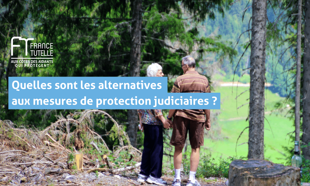 Quelles Sont Les Alternatives Aux Mesures De Protection Judiciaires